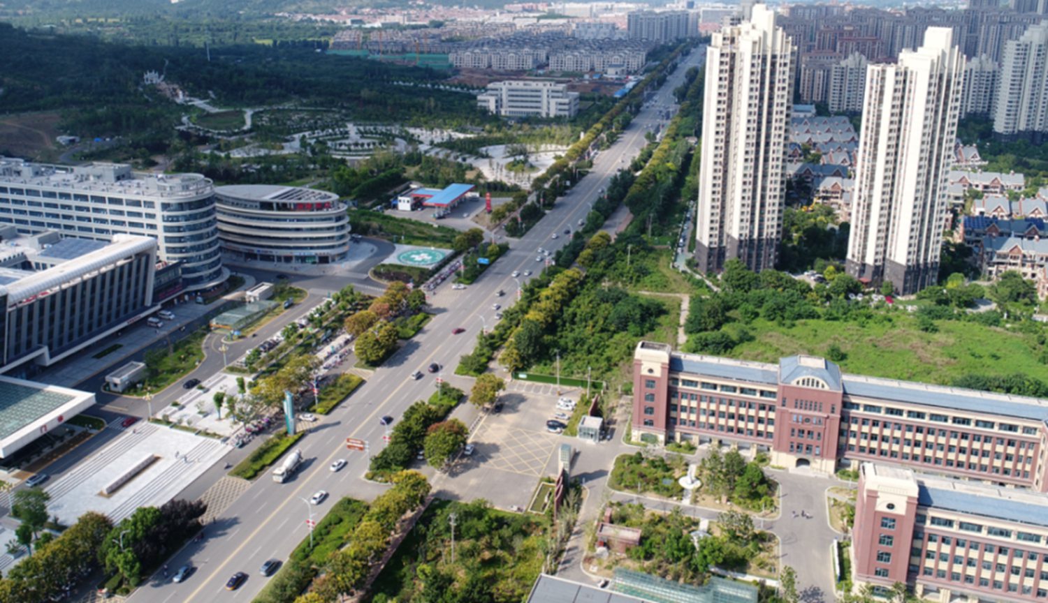 徐州市大学路快速化改造（泉山段）绿化工程